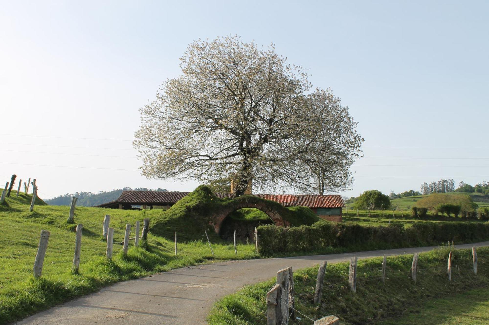 Casa De Aldea Monga 9 En Nava, Asturias Villa Dış mekan fotoğraf
